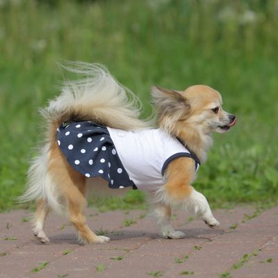 Платье OSSO для собак «Маленькая кокетка», размер 20, микс цветов
