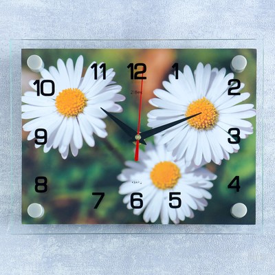 Часы настенные, серия: Цветы, &quot;Ромашки&quot;, 20х26 см  микс