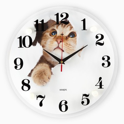 Часы настенные, серия: Животный мир, &quot;Кот&quot;, плавный ход, d=30 см