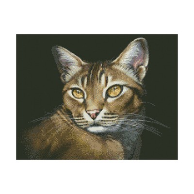 Набор алмазной вышивки «Абиссинская кошка»
