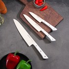 Набор кухонных ножей  Hаrаkiri, 3 шт: лезвие 10 см, 12 см, 20 см, белая рукоять