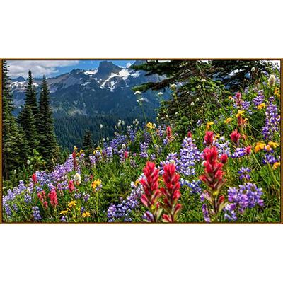 Алмазная мозаика «Весна в горах», 65×50 см, 45 цветов