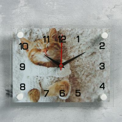 Часы настенные, серия: Животный мир, &quot;Мур-Мур&quot;, 20х26 см, микс