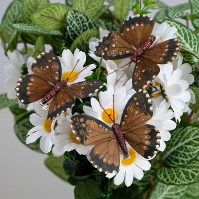 Бабочка для декора и флористики, на прищепке, пластиковая, коричневая, микс, 1 шт., 5 см и 8 см