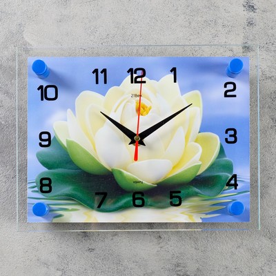 Часы настенные, серия: Цветы, &quot;Кувшинка&quot;, 20х26  см, микс