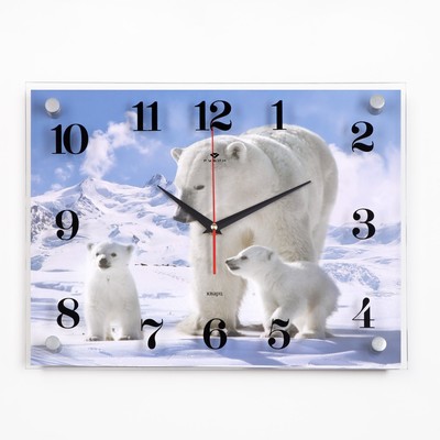 Часы настенные, серия: Животный мир, &quot;Белые медведи&quot;, плавный ход, 30 х 40 см