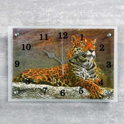 Часы настенные, серия: Животный мир, &quot;Леопард&quot;25х35 см