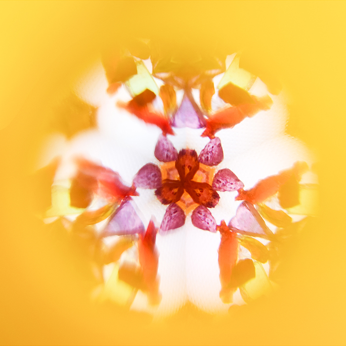 Калейдоскоп