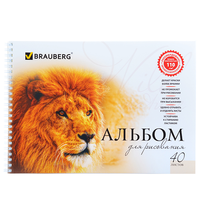 Альбом для рисования 40л А4 "Благородные кошки" гребень, обложка картон,