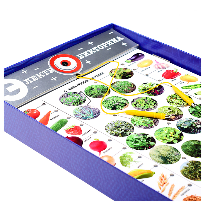 Фото к товару Игра Электровикторина "Живая природа" Игра Электровикторина "Живая природа"