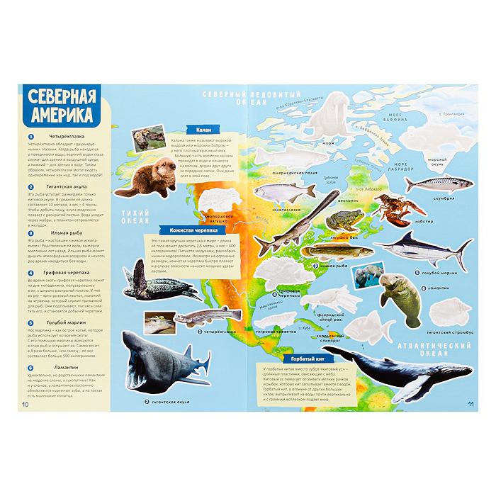 Атлас Мира с наклейками. Обитатели рек, морей и океанов. 21х29,7 см. 16 стр. 