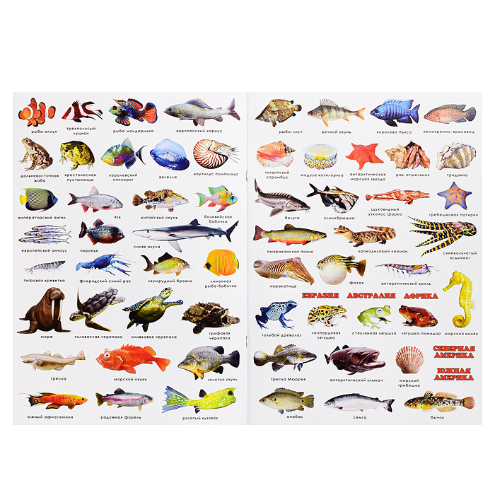 Атлас Мира с наклейками. Обитатели рек, морей и океанов. 21х29,7 см. 16 стр. 