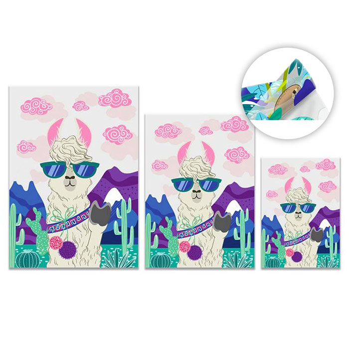 Набор папка-уголок  3  папки  (А4,А5,А6) для документов пластиковая "Альпака" 