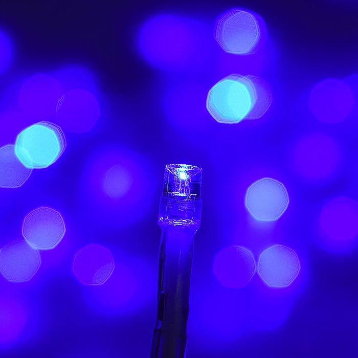 Фото к товару Электрогирлянда "Водопад" S1268-2 1,5*2м., синяя Электрогирлянда "Водопад" S1268-2 1,5*2м., синяя