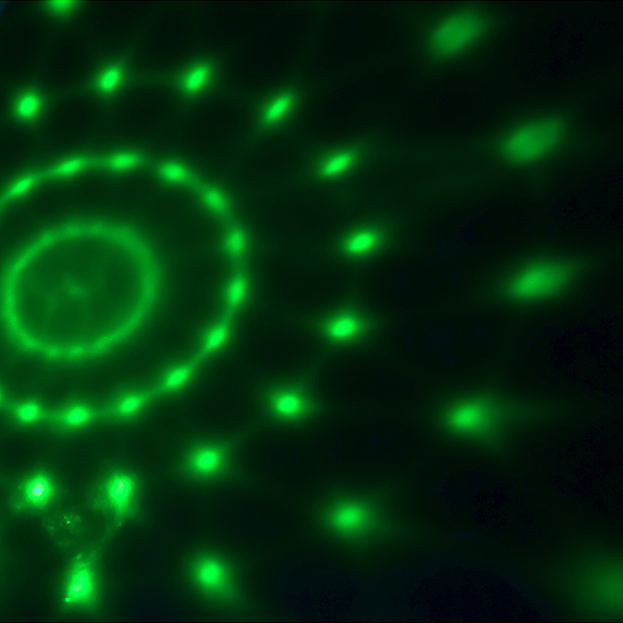 Фото к товару Игрушка JD133-52A "Проектор Динозаврик" в пакете Игрушка JD133-52A "Проектор Динозаврик" в пакете