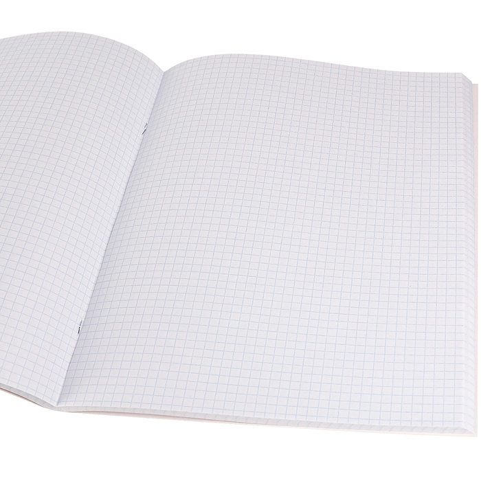 Фото к товару Тетрадь 96л. клетка "Неоновый жираф-1" цвет.мелов.обл., твин-лак А4 Тетрадь 96л. клетка "Неоновый жираф-1" цвет.мелов.обл., твин-лак А4