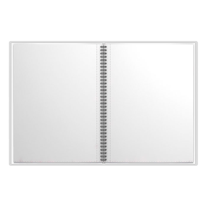 Фото к товару Папка-портфолио пластиковая Ladder of Success, c 40 карманами, A4 Папка-портфолио пластиковая Ladder of Success, c 40 карманами, A4