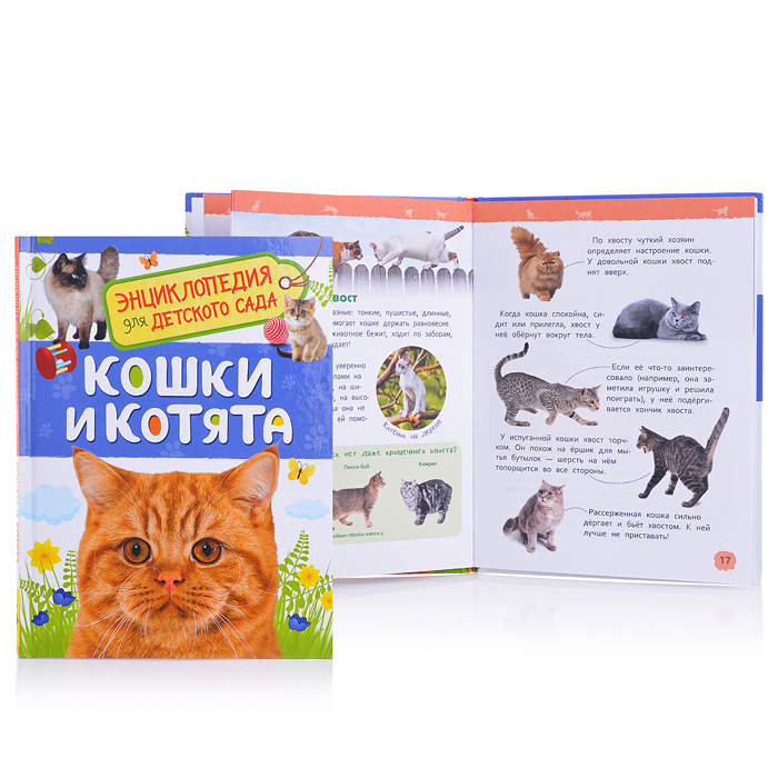 Кошки и котята (Энциклопедия для детского сада) Кошки и котята (Энциклопедия для детского сада)