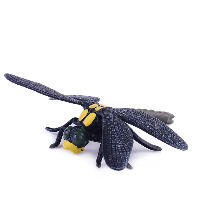 Фото к товару Набор животные 559-280A "Удивительный мир" 13 предметов, в банке Набор животные 559-280A "Удивительный мир" 13 предметов, в банке