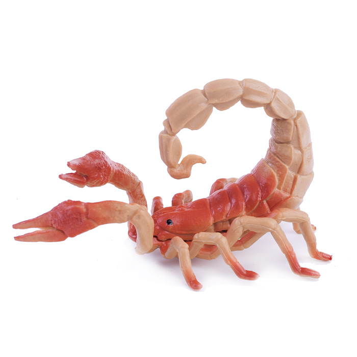 Фото к товару Набор животные 559-280A "Удивительный мир" 13 предметов, в банке Набор животные 559-280A "Удивительный мир" 13 предметов, в банке