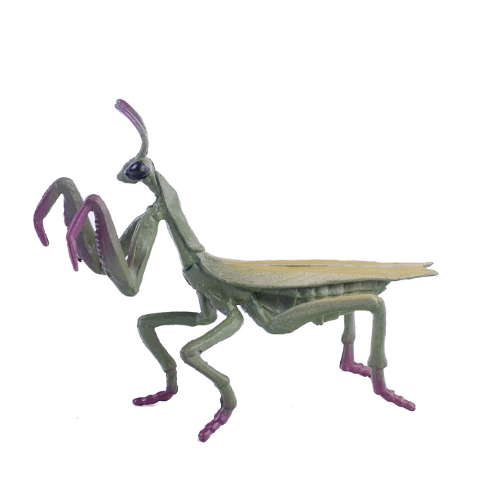 Фото к товару Набор животные 559-280A "Удивительный мир" 13 предметов, в банке Набор животные 559-280A "Удивительный мир" 13 предметов, в банке