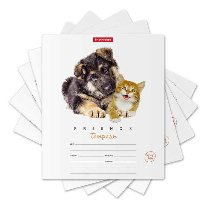 Тетрадь 12 л. линейка, Дружба, (в плёнке по 10 шт.) Тетрадь 12 л. линейка, Дружба, (в плёнке по 10 шт.)