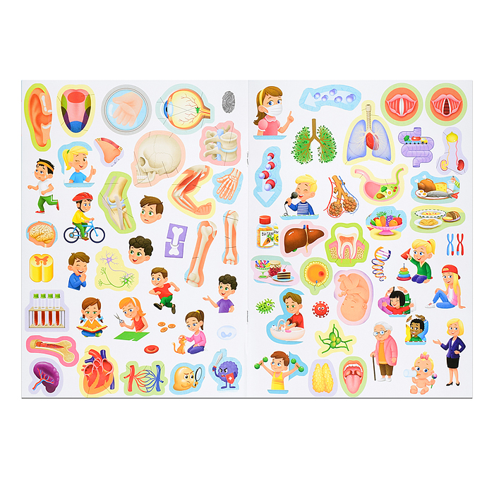 Атлас с наклейками. Тело человека. 21х29,7см. 