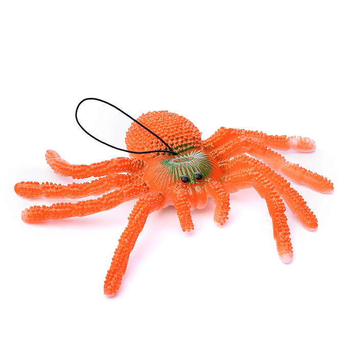 Паук 00-1434 в пакете