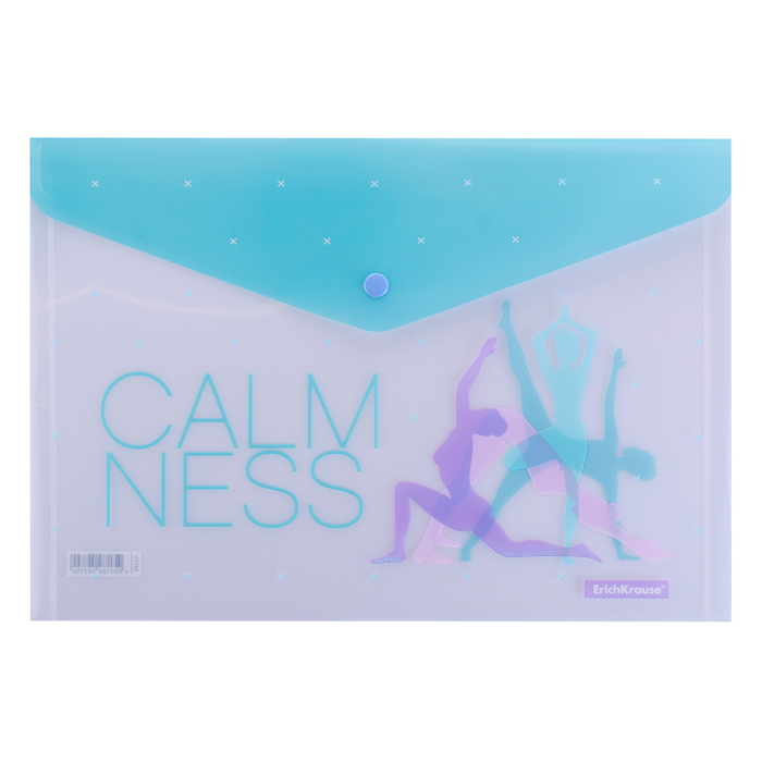 Набор из 4 папок-конвертов на кнопке пластиковых Meditation, A4, ассорти