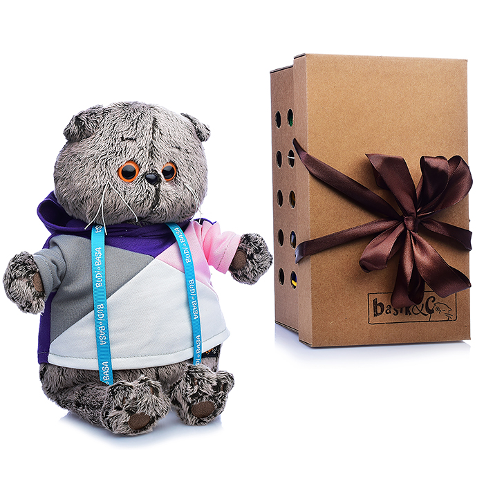 Кот Басик в разноцветной толстовке