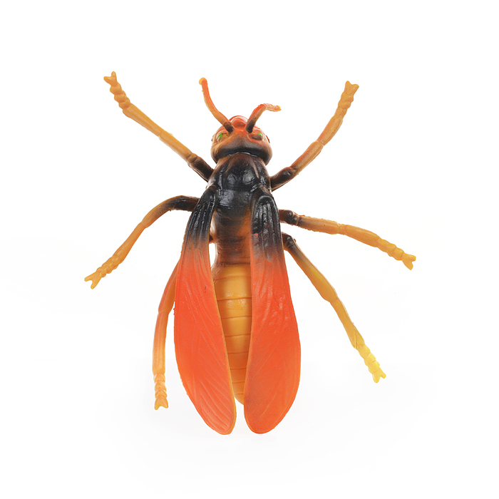 Фото к товару Набор животных KC713-1 "Жизнь насекомых" в пакете Набор животных KC713-1 "Жизнь насекомых" в пакете