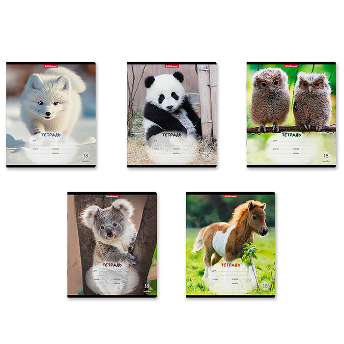 Тетрадь 18 л. линейка, "Пушистики" Тетрадь 18 л. линейка, "Пушистики"