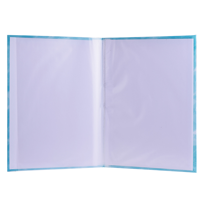 Папка выпускнику А4 "Алые Паруса" с 2 файлами (ламинат)