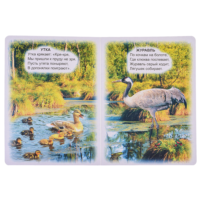 Фото к товару Книга картон. Солнышко Лесные жители 0+ Книга картон. Солнышко Лесные жители 0+