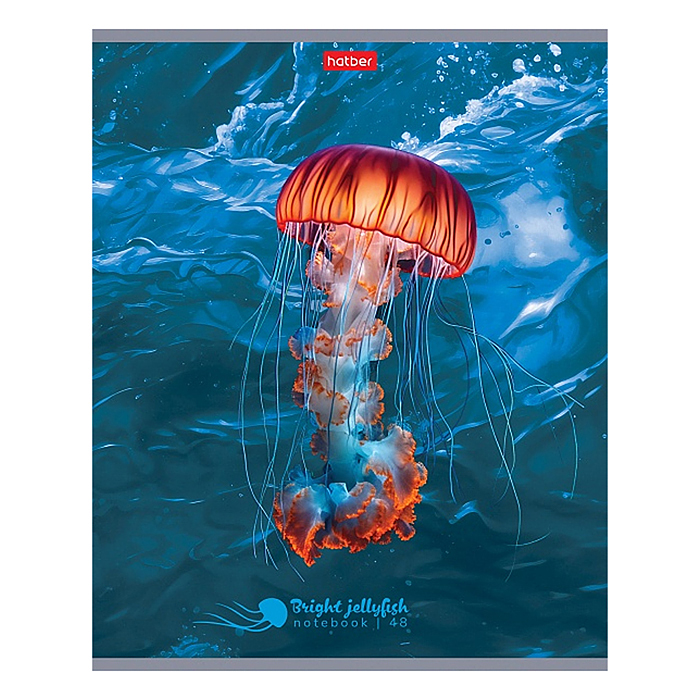 Фото к товару Тетрадь 48л клетка "Яркие медузы" Тетрадь 48л клетка "Яркие медузы"
