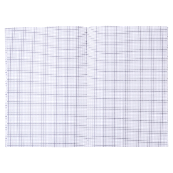 Фото к товару Бизнес блокнот "Attomex. Visa" A4 (210 ммx290 мм) 120 стр, белая бумага 70 г/м² в клетку, печать в 1 Бизнес блокнот "Attomex. Visa" A4 (210 ммx290 мм) 120 стр, белая бумага 70 г/м² в клетку, печать в 1