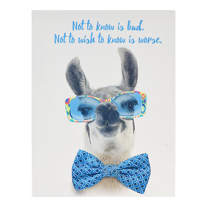 Тетрадь 80л, клетка, A5 "Прикольная лама в очках" глянц лам. Тетрадь 80л, клетка, A5 "Прикольная лама в очках" глянц лам.