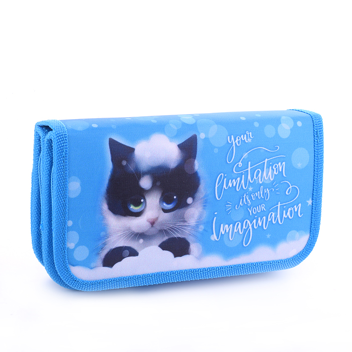 Пенал двухсекционный большой "Кот под снегом" Пенал двухсекционный большой "Кот под снегом"