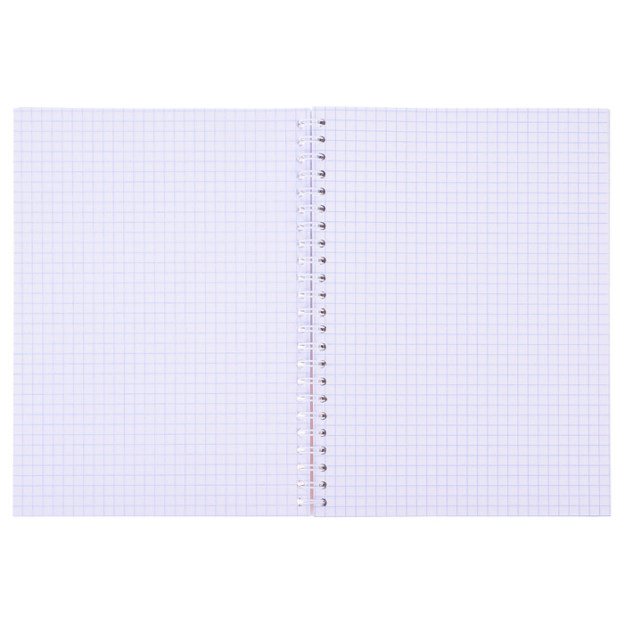 Тетрадь 96л. клетка "Сладкого дня" на гребне