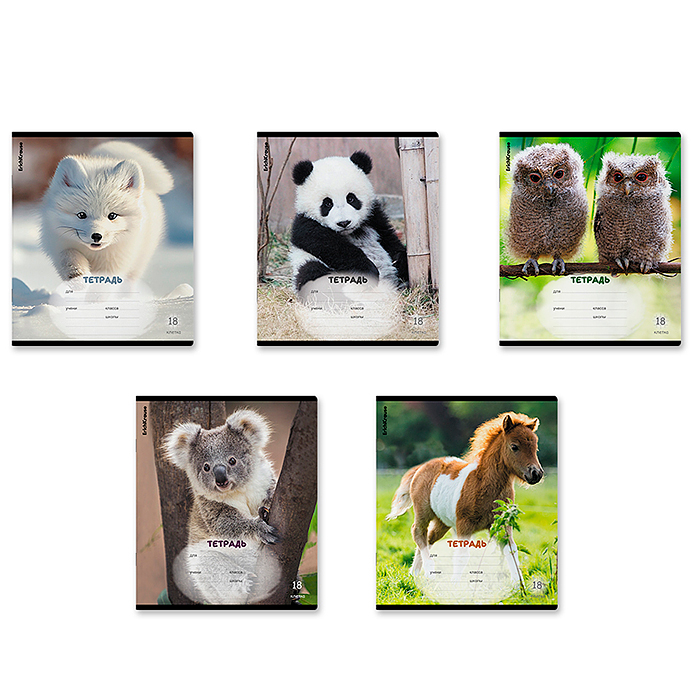 Тетрадь 18 л, клетка, "Пушистики" Тетрадь 18 л, клетка, "Пушистики"