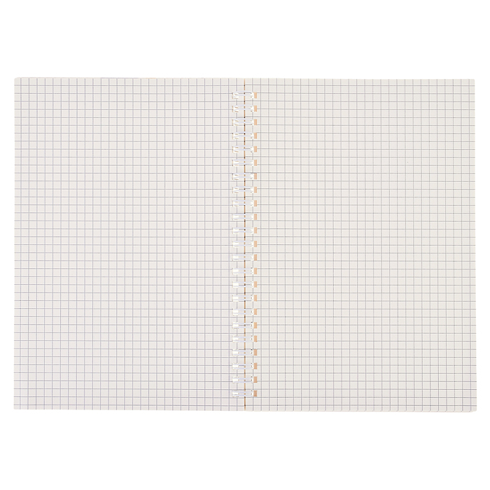 Фото к товару Блокнот 48 л., клетка 15.5х21 см "FLOWERS" картонная обложка Блокнот 48 л., клетка 15.5х21 см "FLOWERS" картонная обложка