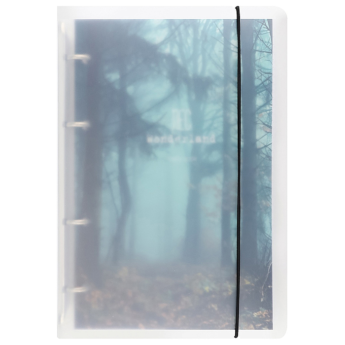 Тетрадь 120л. клетка "Туманный лес" Тетрадь 120л. клетка "Туманный лес"