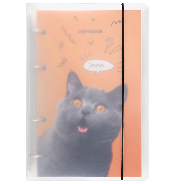 Тетрадь 120л. клетка "Удивлённый котик" Тетрадь 120л. клетка "Удивлённый котик"