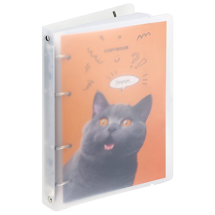 Тетрадь 120л. клетка "Удивлённый котик"