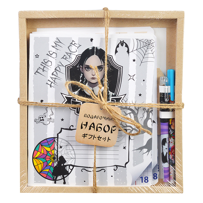 Набор подарочный ( тетрадь "Вэнсдэй" 18 л кл/лин по 2 шт + ручка гел пиши-стирай + ручка гел Soft t