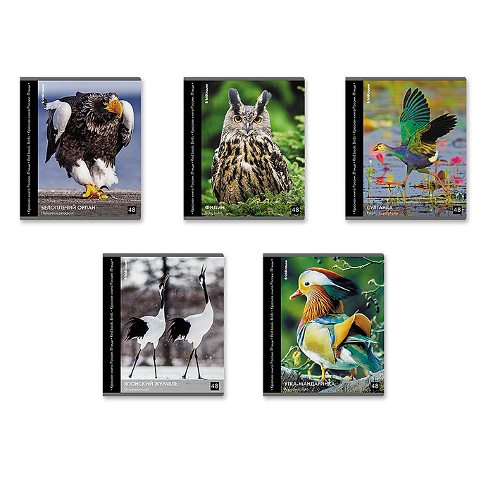 Тетрадь 48 л. клетка, "Энциклопедия, Красная книга России. Птицы"