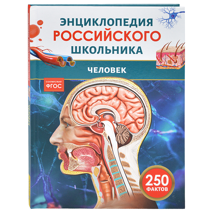Человек. Энциклопедия российского школьника Человек. Энциклопедия российского школьника