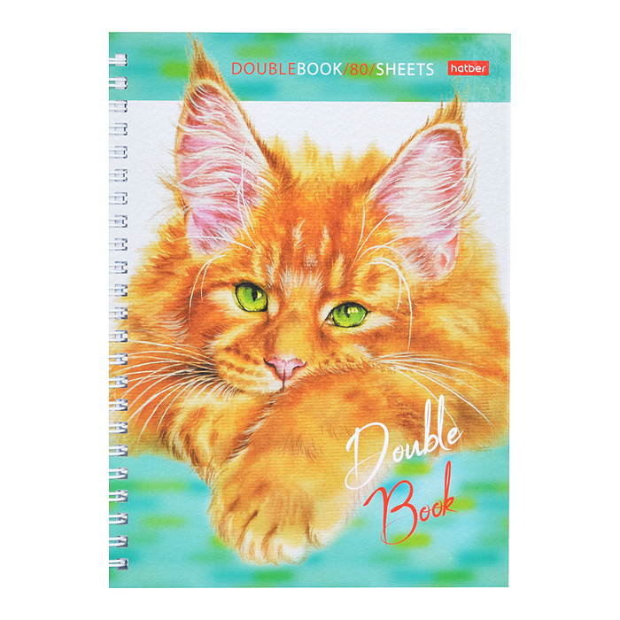 Тетрадь 80л. клетка "Эти заМУРчательные кошки" А5 на гребне