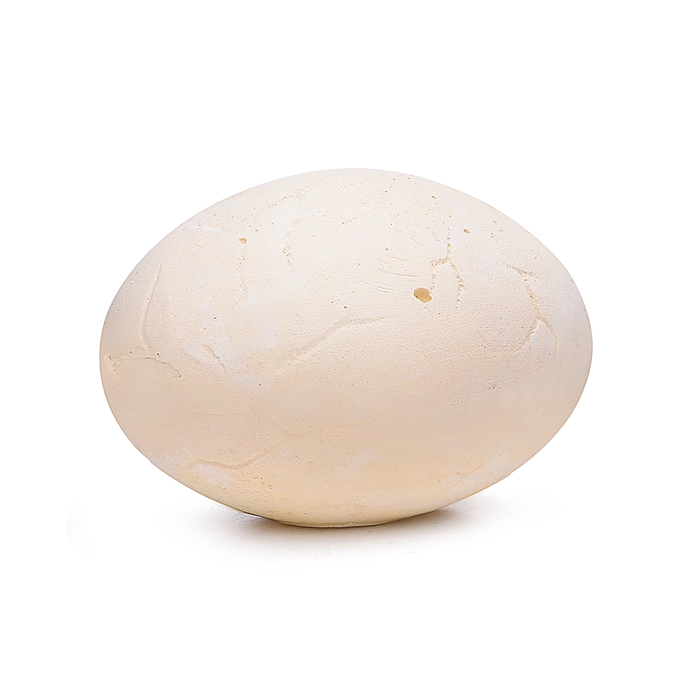 Раскопки AT669 "Яйцо динозавра" в коробке