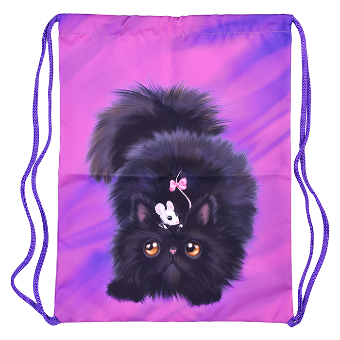 Мешок для обуви "Черный кот" 1 отделение, 330х420мм, петля для подвеса, полиэстер, 210 ден